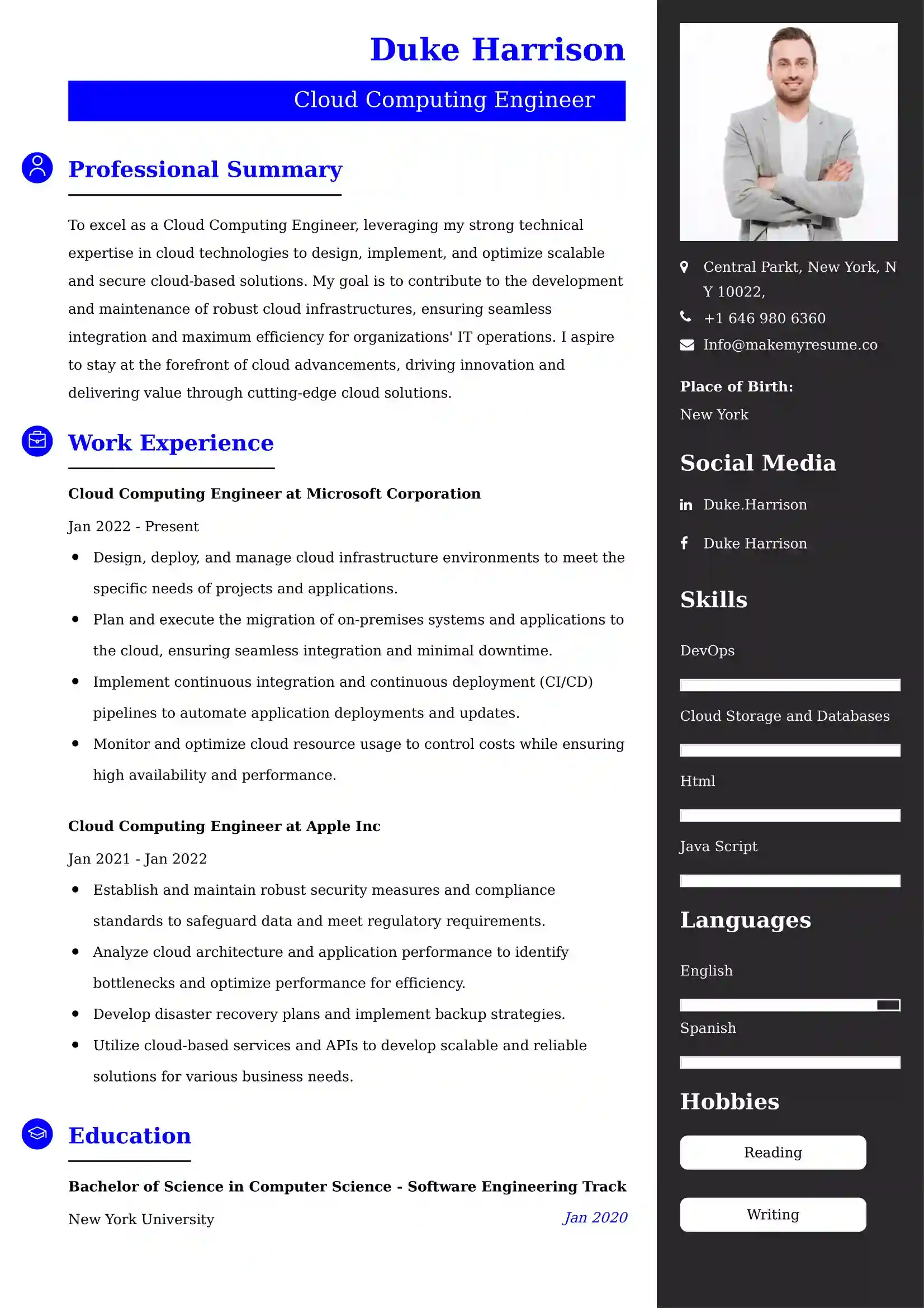 75+ Professional Computers & Software Resume Examples, Latest Format