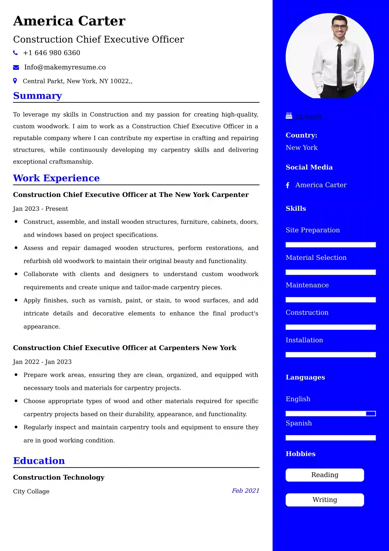 Construction Chief Executive Officer Resume Examples - Brazilian Format, Latest Template