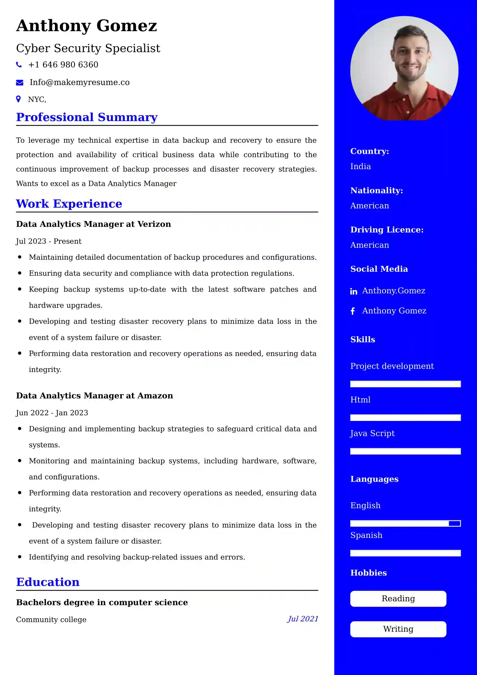Data Analytics Manager Resume Examples - Brazilian Format, Latest Template