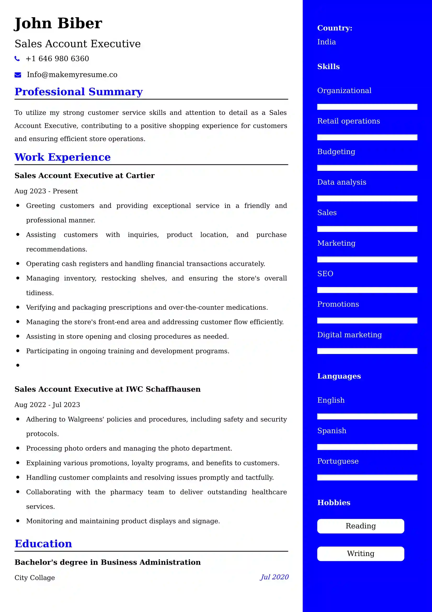 Sales Account Executive Resume Examples - Brazilian Format, Latest Template